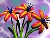 SmugMug > keywords > tiger > Zoo Lights - December 2009 >  Tiger Lily Full