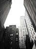 SmugMug > keywords > aug > OLYMPUS DIGITAL CAMERA