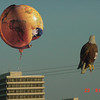 SmugMug > keywords > eight > 2006 photo